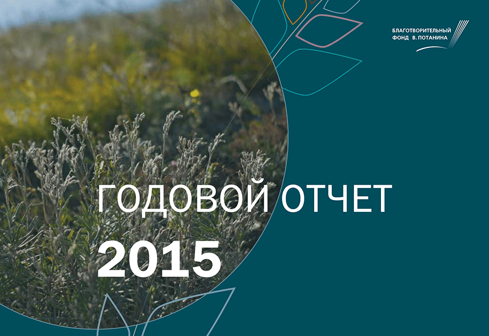 Годовой отчет 2015